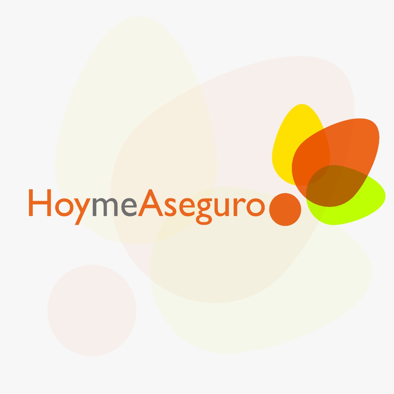 Hoymeaseguro Ltda