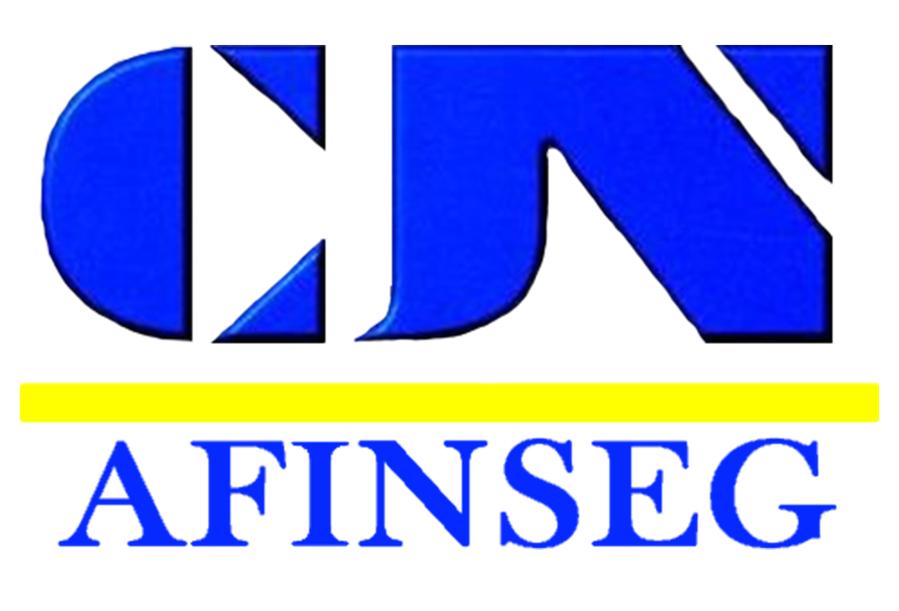 CJN ASESORES FINANCIEROS Y DE SEGUROS LTDA