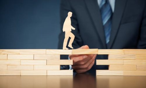 Shutterstock 510983926 1 (1)