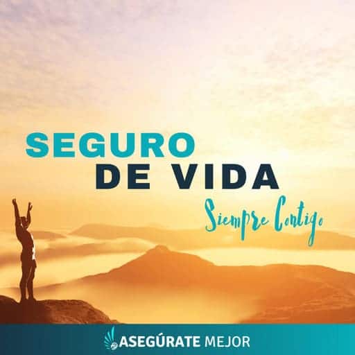 agencia de seguros seguros de vida siempre contigo